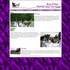Box Elder Horse & Carriage - Commerce City CO Wedding Transportation