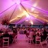 Meredith Events - Rogers AR Wedding Planner / Coordinator Photo 3