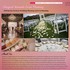 Magical Moments Event Planning - Lebanon IN Wedding Planner / Coordinator