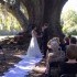 Alicia's Wedding Ceremonies - Picayune MS Wedding Officiant / Clergy Photo 8