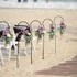 Incredible Beach Weddings - Wilmington NC Wedding Officiant / Clergy Photo 12