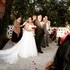 Reverend Rochelle Finkelstein - Keyport NJ Wedding Officiant / Clergy Photo 11