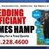 Professional Wedding Officiant - Macon GA Wedding Officiant / Clergy