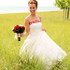 Denyse Briggs Photography - Ludington MI Wedding Photographer Photo 5