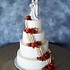 Creations By Laura - Union MO Wedding Cake Designer Photo 13
