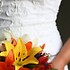 A Splendid Affair Wedding and Event Design - Carbondale IL Wedding Planner / Coordinator Photo 12