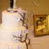 Perfect Day Cakes - Owatonna MN Wedding Cake Designer Photo 23