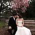 Magnolia Manor Creations Photography - Savannah GA Wedding Photographer Photo 9