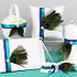 Daisy Days Wedding Accessories, Favors & Gifts - Lexington KY Wedding Supplies And Rentals Photo 12