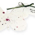 Daisy Days Wedding Accessories, Favors & Gifts - Lexington KY Wedding Supplies And Rentals Photo 2