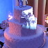 Anna Cakes - Winter Springs FL Wedding Cake Designer Photo 15