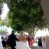 Beachangels Weddings - Indian Rocks Beach FL Wedding Officiant / Clergy Photo 16