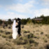 April Spaulding Photography & Design - Great Falls MT Wedding Photographer Photo 21