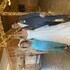 Sacred Celebrations’ Appalachian Wedding Chapel - Capon Bridge WV Wedding Officiant / Clergy Photo 23