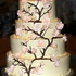 Maxine's Catering / Bittersweet Bakers - Accord NY Wedding Cake Designer Photo 3