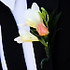 Style Events - Virginia Beach VA Wedding Planner / Coordinator Photo 7