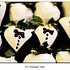 Planned Perfectly - Lowell MA Wedding Planner / Coordinator Photo 3