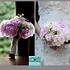 A Country Rose - Tallahassee FL Wedding Florist Photo 6