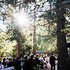 2 Become 1 Weddings - Sacramento CA Wedding Officiant / Clergy Photo 4