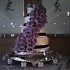 Cakes of Elegance - Columbus OH Wedding Cake Designer Photo 25