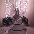 Cakes of Elegance - Columbus OH Wedding Cake Designer Photo 22