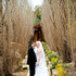 Tracey Hedge Photography - Redding CA Wedding Photographer