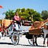 HighHorse Carriage Rides, Inc. - Orlando FL Wedding Transportation
