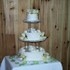 Jilbert Winery - Valley City OH Wedding Ceremony Site Photo 8