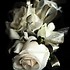 Barb's Flowers - Roseburg OR Wedding Florist Photo 12