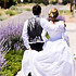 Taylor'd Photography - Las Cruces NM Wedding Photographer