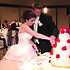 Sureshot Productions - Mount Prospect IL Wedding Videographer Photo 5