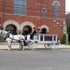 Carriage Limousine Service - Horse Drawn Carriages - Wellsville OH Wedding Transportation Photo 9