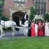 Carriage Limousine Service - Horse Drawn Carriages - Wellsville OH Wedding Transportation Photo 11