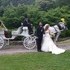 Carriage Limousine Service - Horse Drawn Carriages - Wellsville OH Wedding Transportation Photo 12