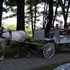 Carriage Limousine Service - Horse Drawn Carriages - Wellsville OH Wedding Transportation Photo 16