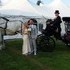 Carriage Limousine Service - Horse Drawn Carriages - Wellsville OH Wedding  Photo 2