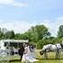 Carriage Limousine Service - Horse Drawn Carriages - Wellsville OH Wedding  Photo 4