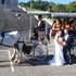 Carriage Limousine Service - Horse Drawn Carriages - Wellsville OH Wedding Transportation Photo 5