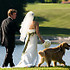 Aspen Grove Photography - Boulder CO Wedding Photographer Photo 10