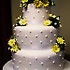 Cake Creations by Paula Ames - Pocatello ID Wedding Cake Designer Photo 16