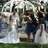 Angeli Carriages - Austin TX Wedding Transportation Photo 14