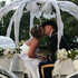 Angeli Carriages - Austin TX Wedding Transportation Photo 12