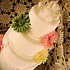 Delectable Delights By Debbie - Amherst OH Wedding Cake Designer Photo 12