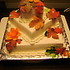 Delectable Delights By Debbie - Amherst OH Wedding Cake Designer Photo 22