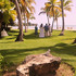 AMR Weddings & Events  Coordination - Ponce PR Wedding Planner / Coordinator