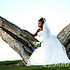 Summerland Photography - Othello WA Wedding Photographer