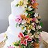 Creative Cakes by Monica - Azle TX Wedding Cake Designer Photo 2