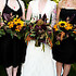 Flowers By Shamay - Anacortes WA Wedding Florist Photo 5