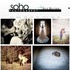 Soho Photography - Meadowview VA Wedding Photographer