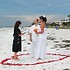 Kissing Fish Weddings - Dunedin FL Wedding Officiant / Clergy Photo 19